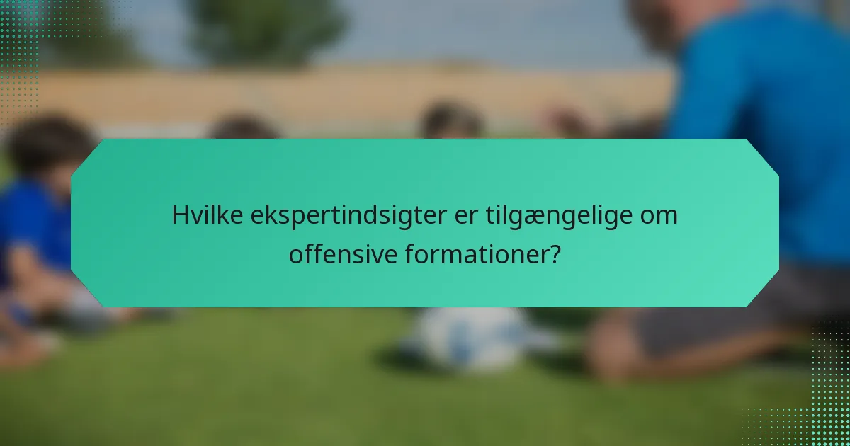 Hvilke ekspertindsigter er tilgængelige om offensive formationer?