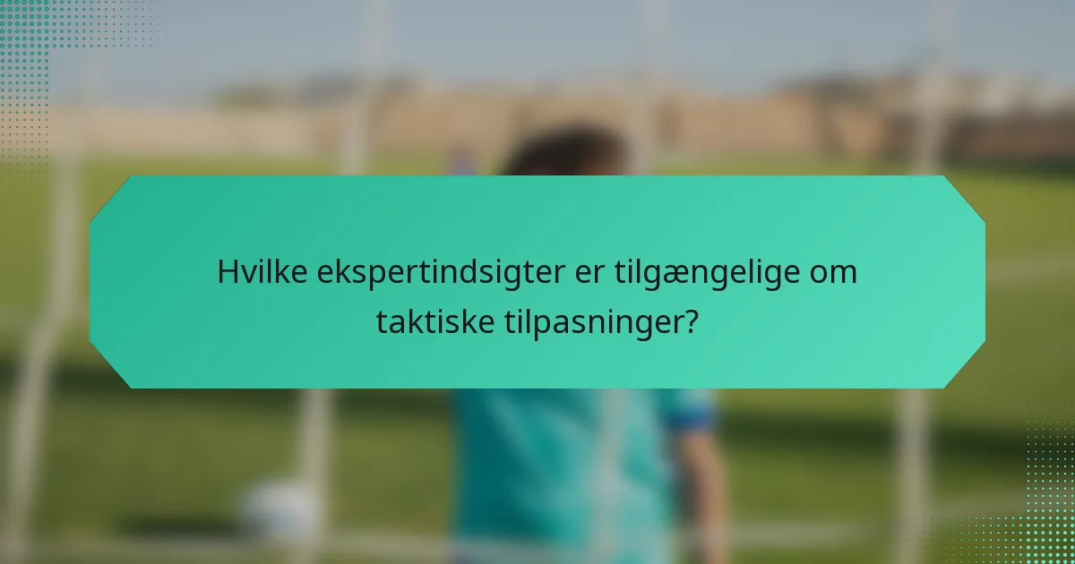 Hvilke ekspertindsigter er tilgængelige om taktiske tilpasninger?